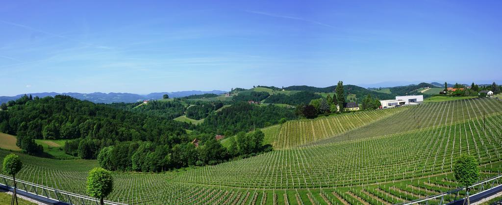 Weinrefugium Brolli Hotel Gamlitz Luaran gambar